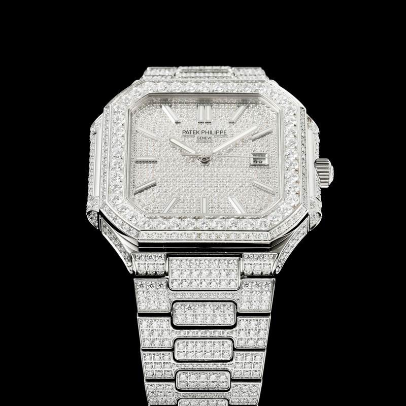 Patek Phillipe watch 29 (15)