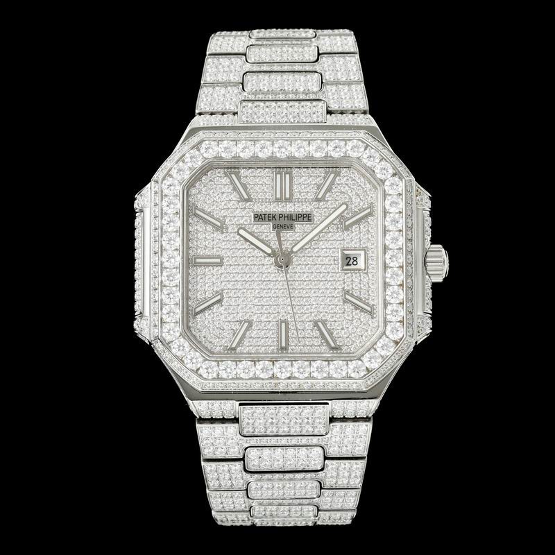 Patek Phillipe watch 29 (18)