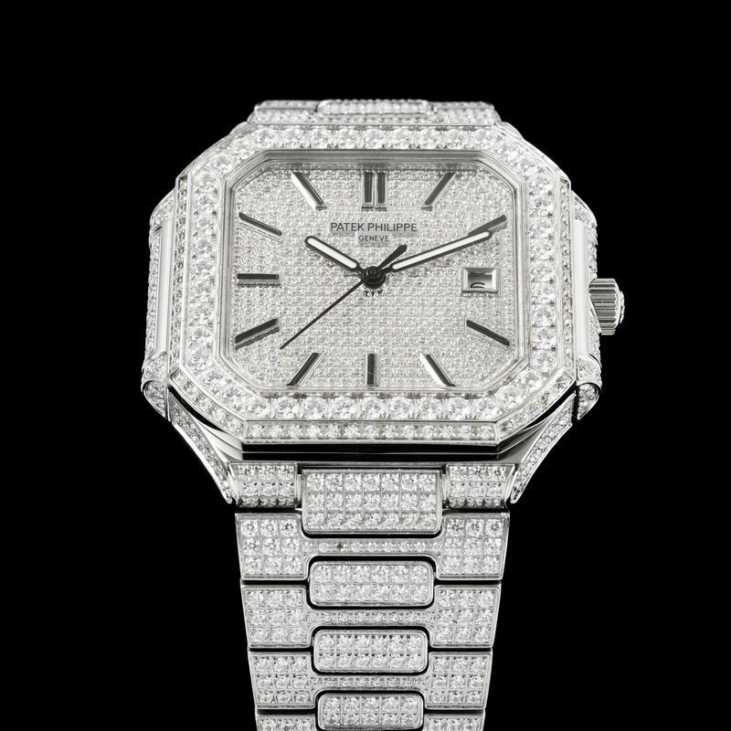 Patek Phillipe watch 29 (6)