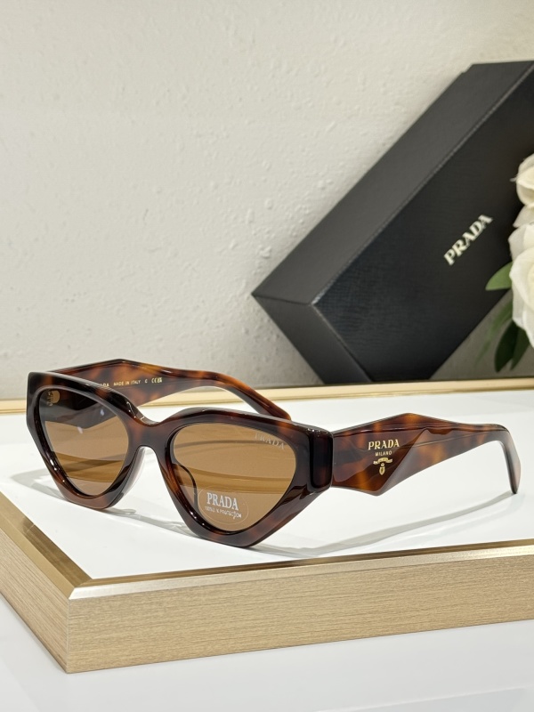 Prada Glasses 08smh153 (7)