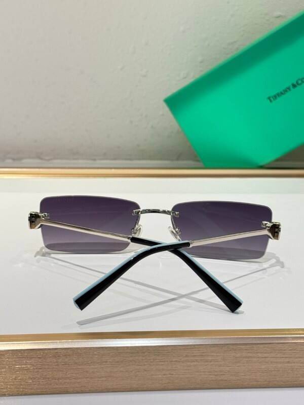 Tiffany & CO Glasses 08smh09 (8)