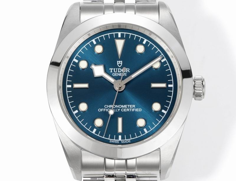 Tudor 41mm 14 (14)