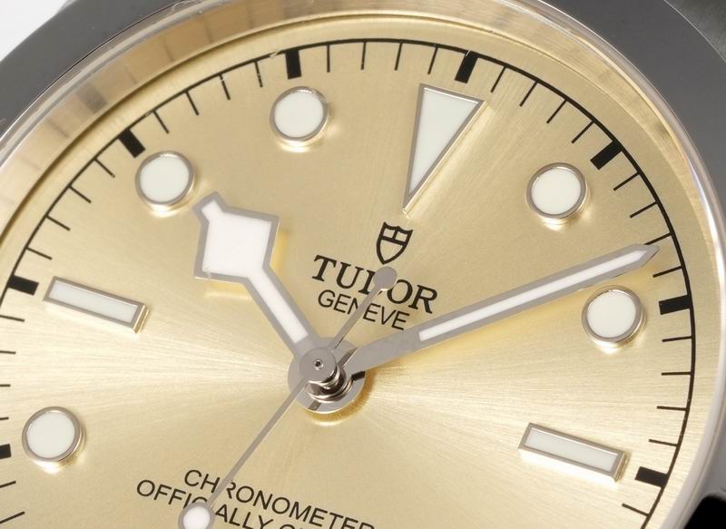 Tudor 41mm 14 (24)