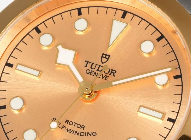Tudor 41mm 14 (42)