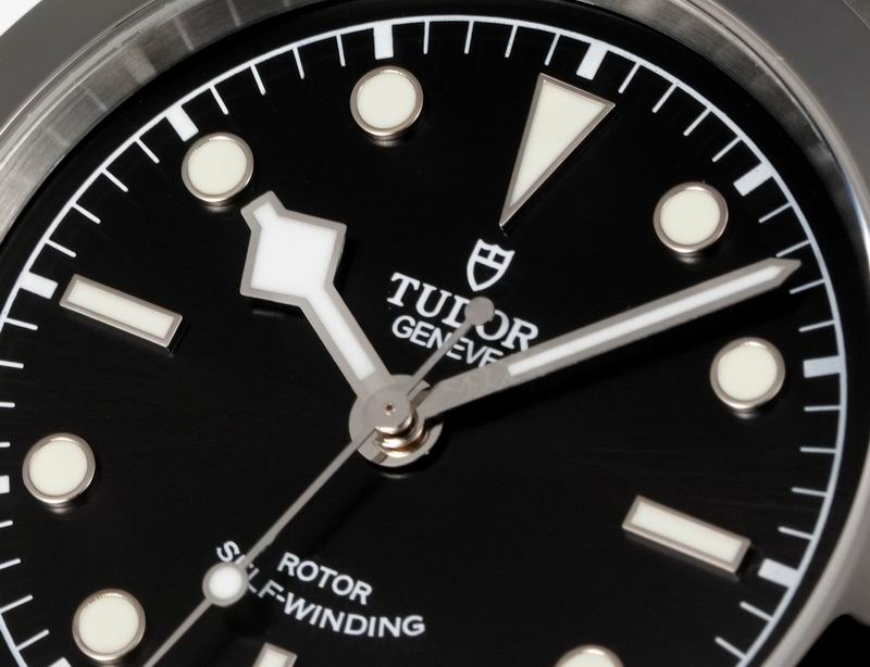 Tudor 41mm 14 (6)