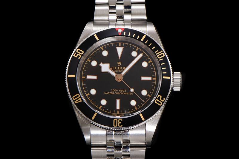 Tudor 41mm 15 (37)