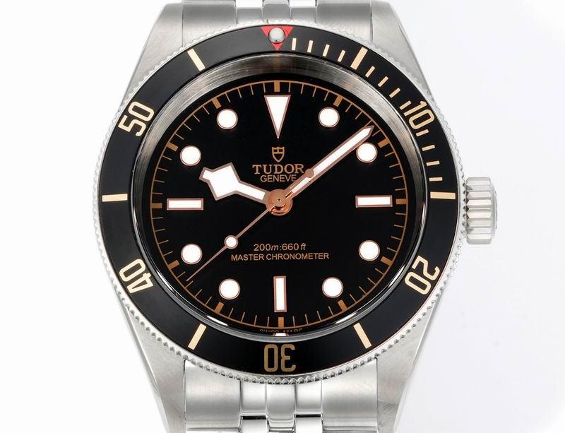 Tudor 41mm 15 (44)