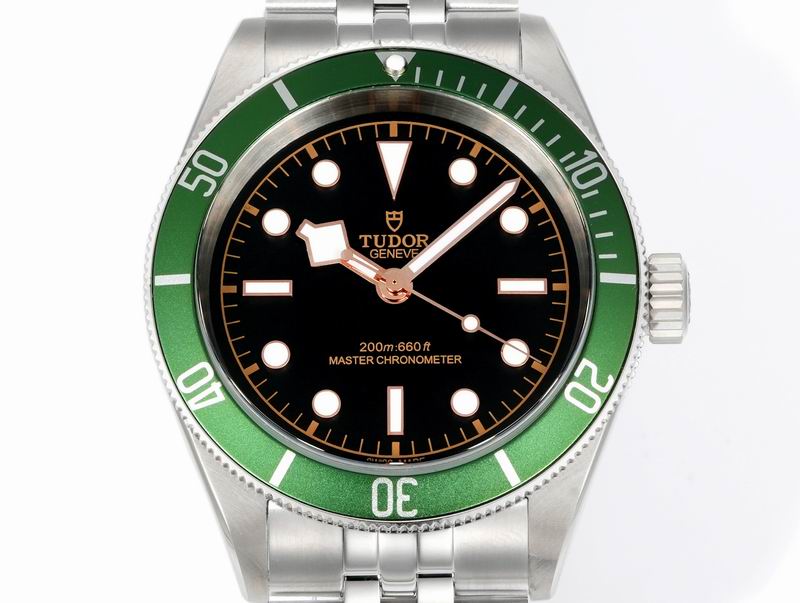 Tudor 41mm 15 (69)