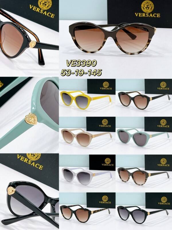 Versace Glasses 08smh33 (13)