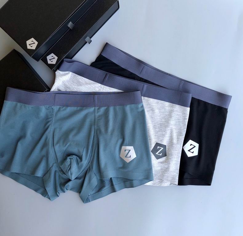 Zegna Boxer L-XXXL   (8)