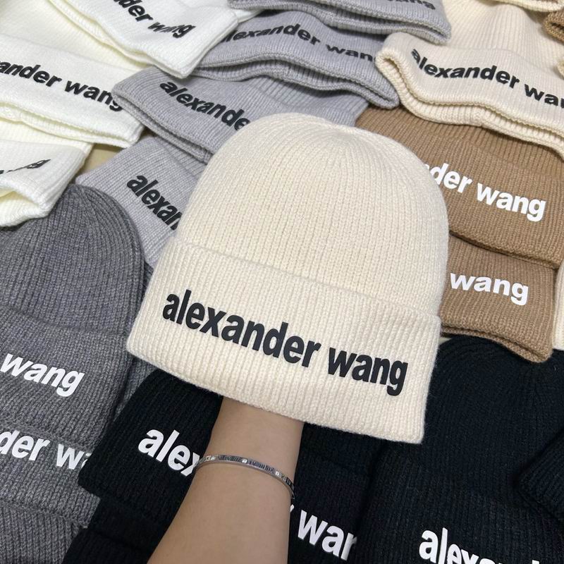 Alexander Wang hat dx (158)