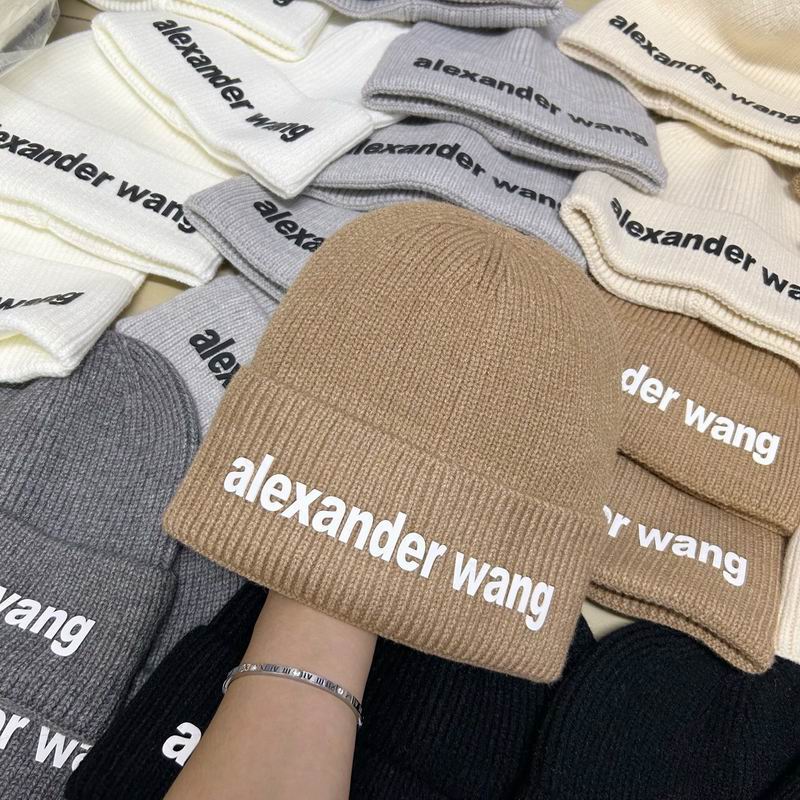 Alexander Wang hat dx (159)