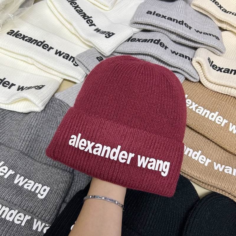 Alexander Wang hat dx (160)