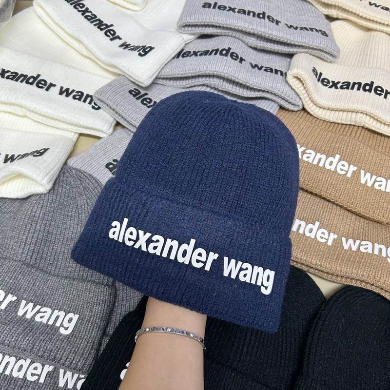 Alexander Wang hat dx (161)