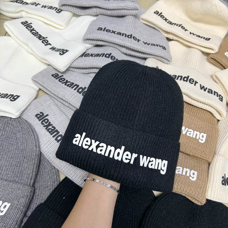 Alexander Wang hat dx (162)