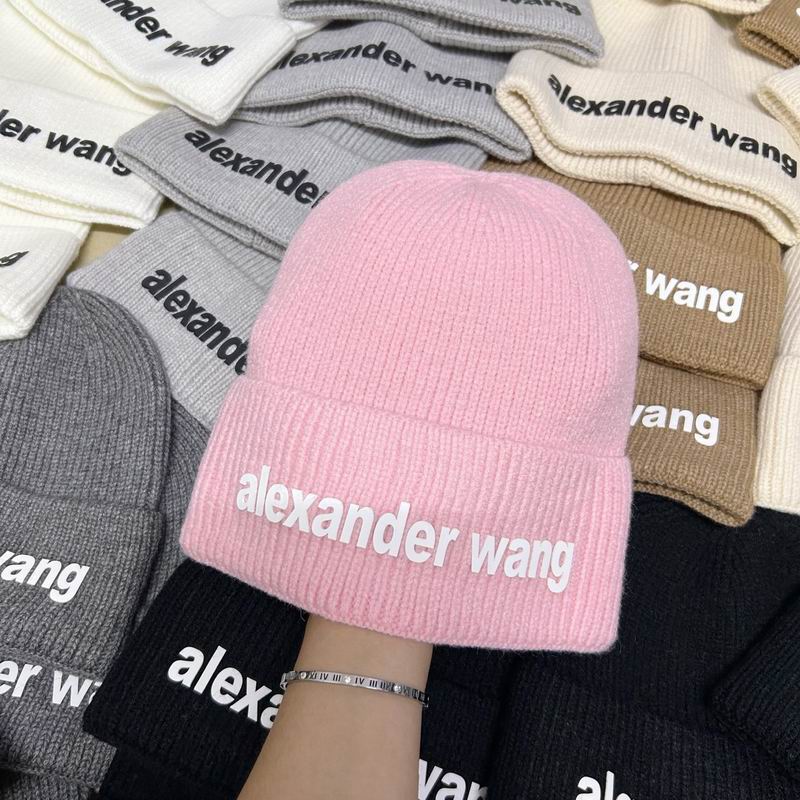 Alexander Wang hat dx (163)