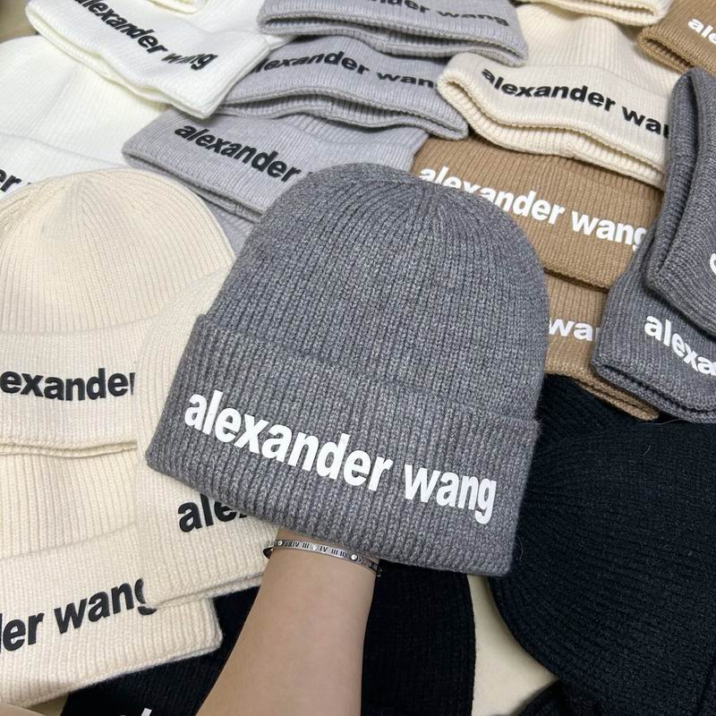 Alexander Wang hat dx (164)