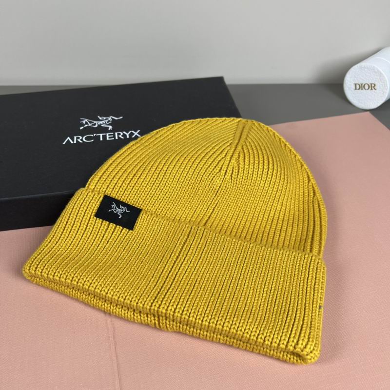 Arcteryx Hat dx (1081)