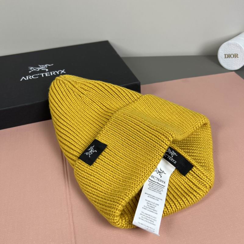 Arcteryx Hat dx (1082)