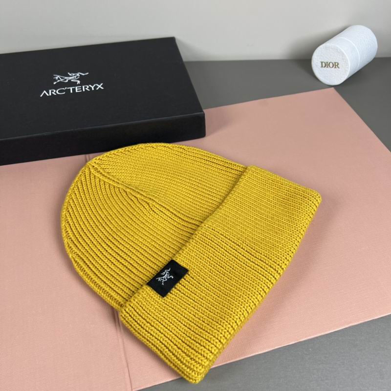 Arcteryx Hat dx (1087)