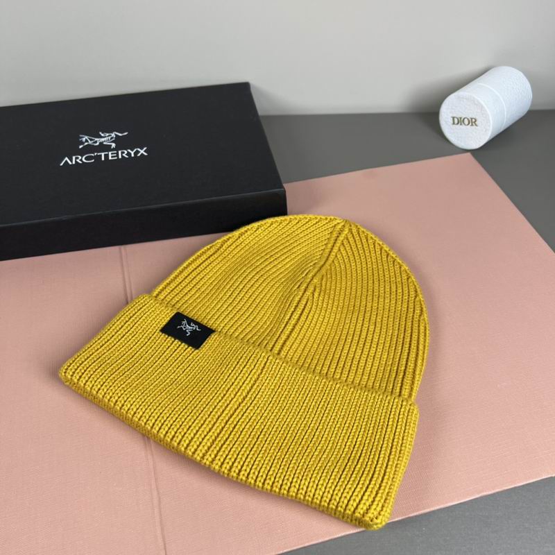 Arcteryx Hat dx (1088)