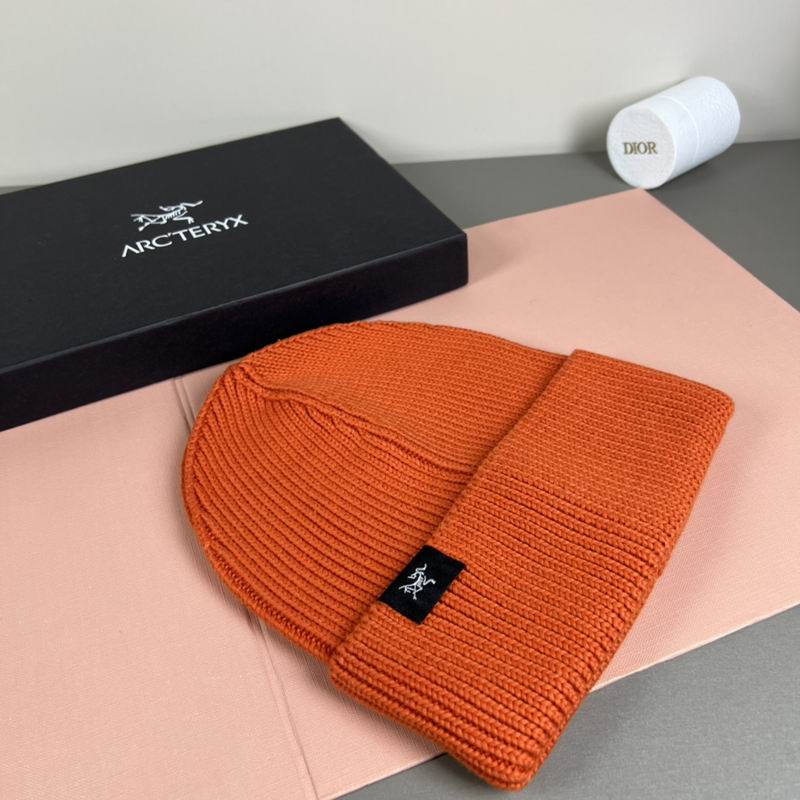 Arcteryx Hat dx (1090)