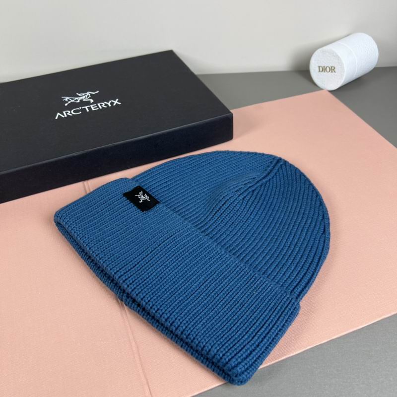 Arcteryx Hat dx (1093)