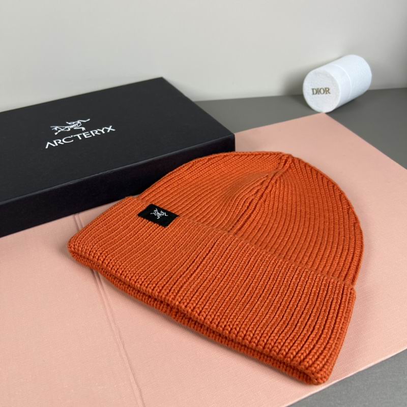 Arcteryx Hat dx (1096)