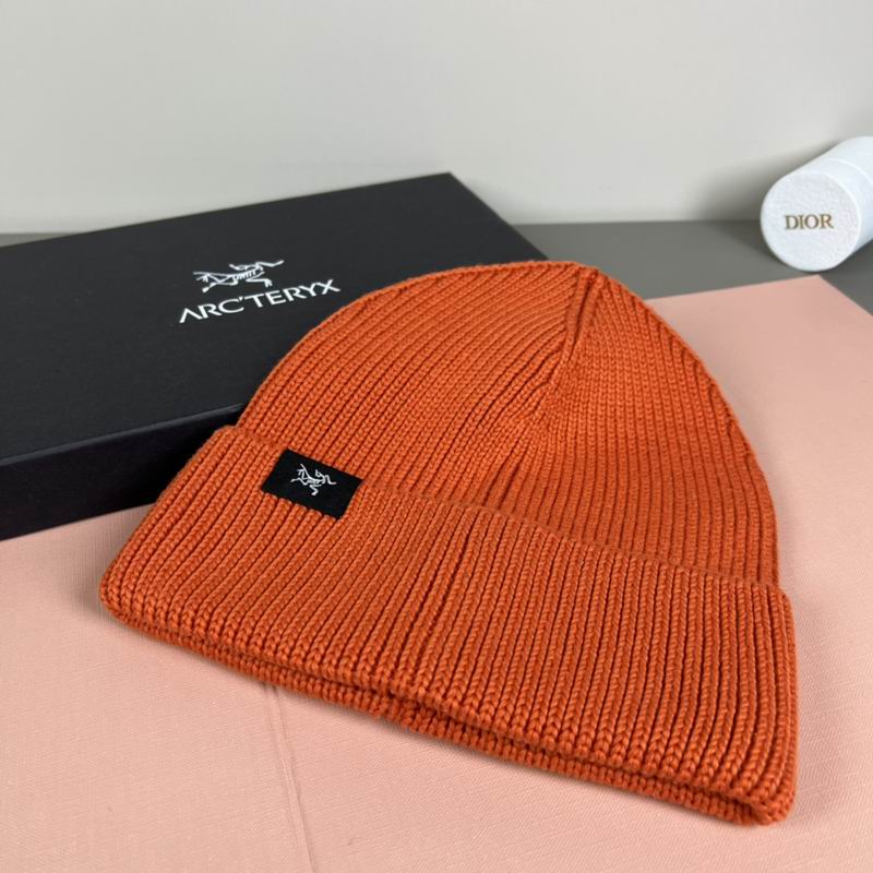 Arcteryx Hat dx (1097)