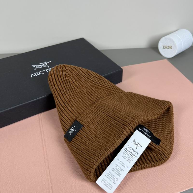 Arcteryx Hat dx (1101)