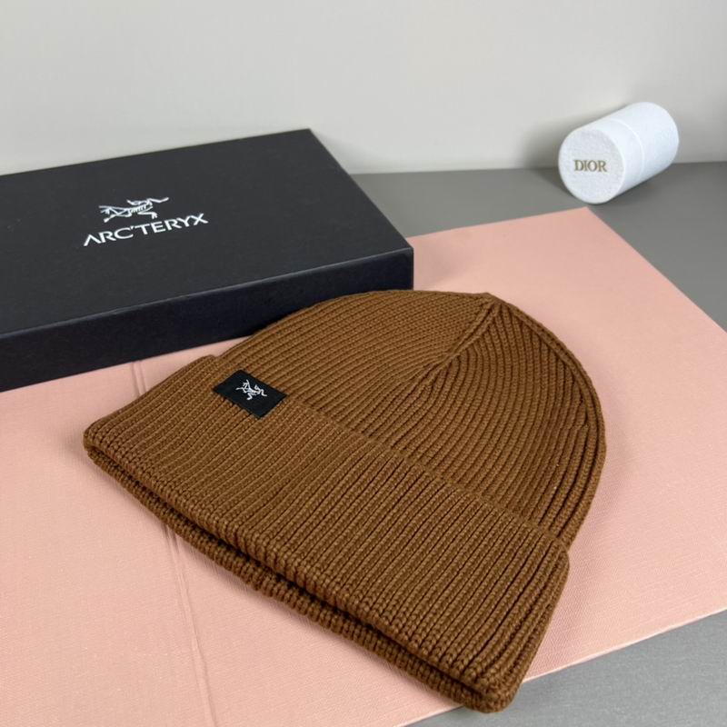 Arcteryx Hat dx (1102)