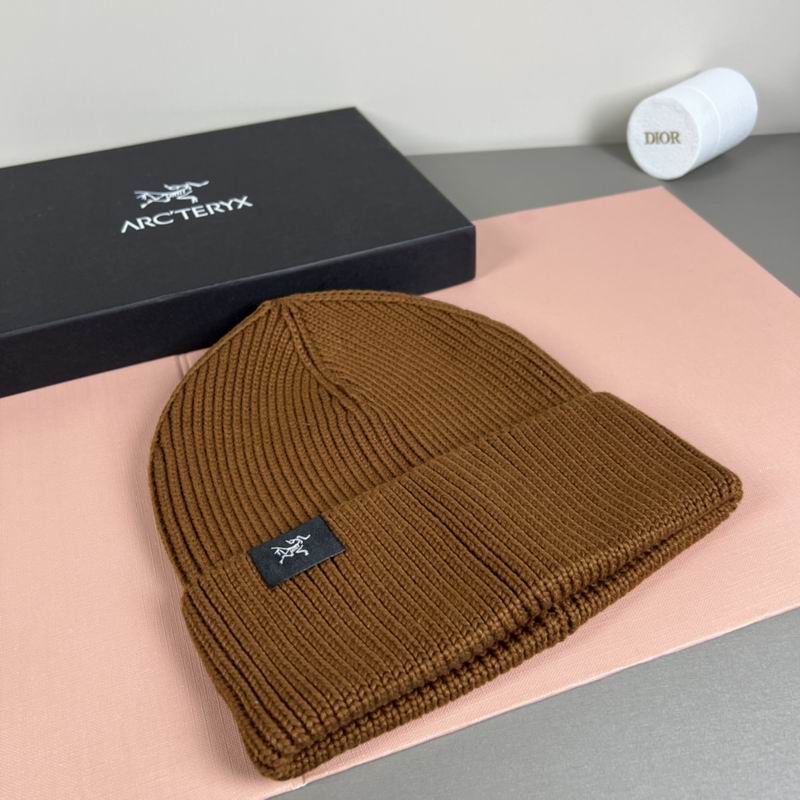 Arcteryx Hat dx (1103)