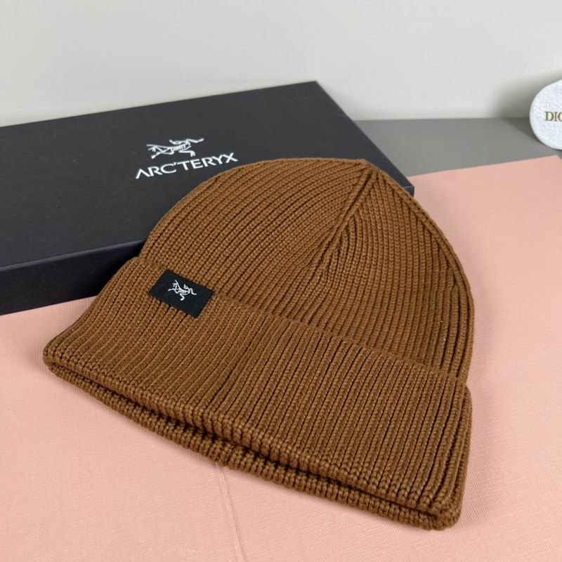 Arcteryx Hat dx (1104)