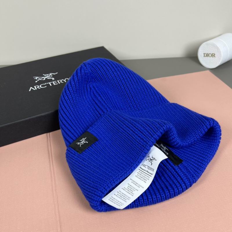 Arcteryx Hat dx (1109)