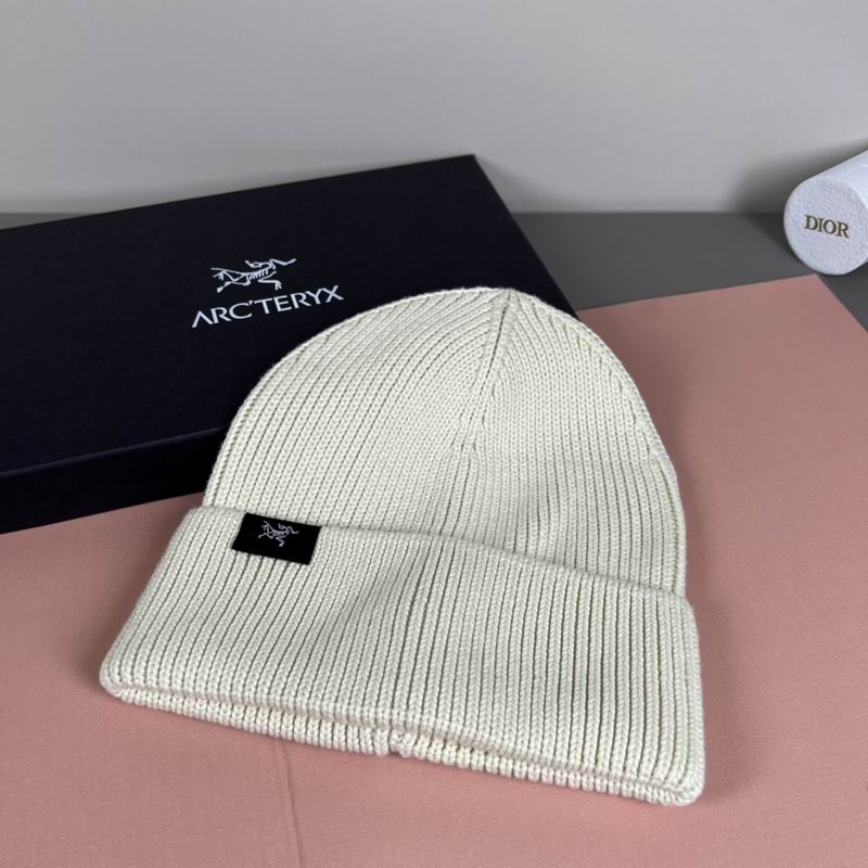 Arcteryx Hat dx (1110)