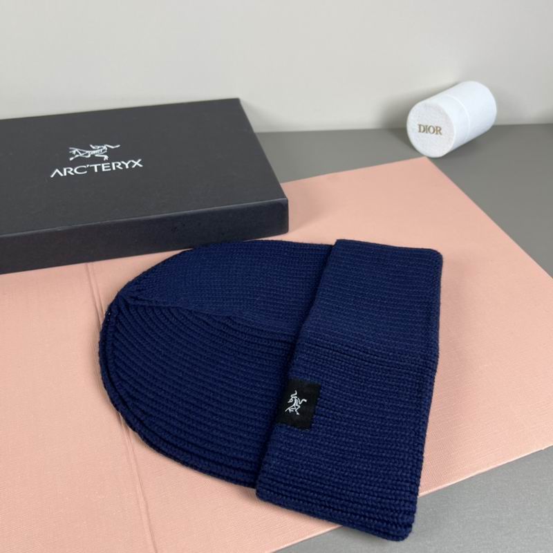 Arcteryx Hat dx (1119)