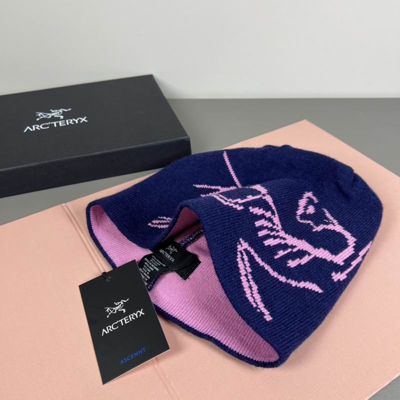 Arcteryx Hat dx (1155)