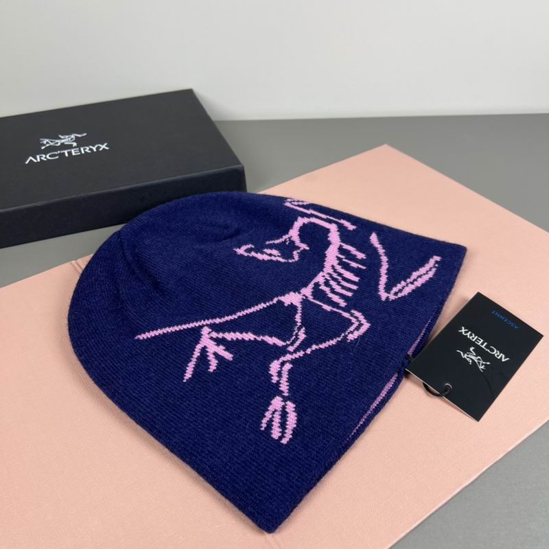 Arcteryx Hat dx (1156)