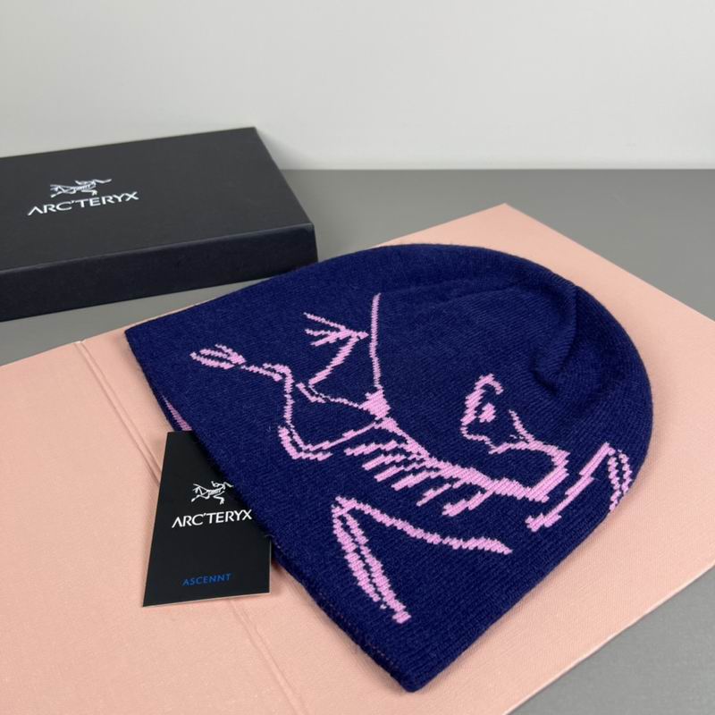 Arcteryx Hat dx (1157)