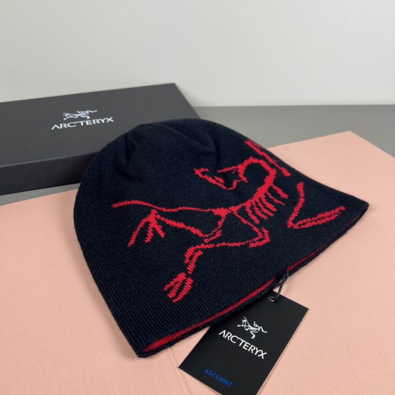 Arcteryx Hat dx (1158)