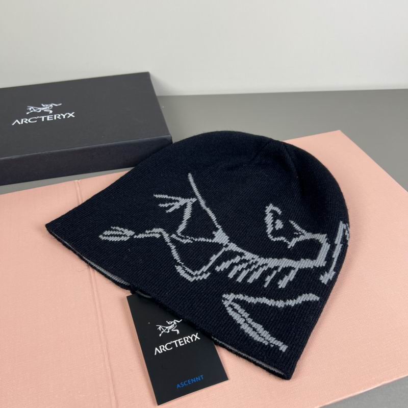 Arcteryx Hat dx (1160)