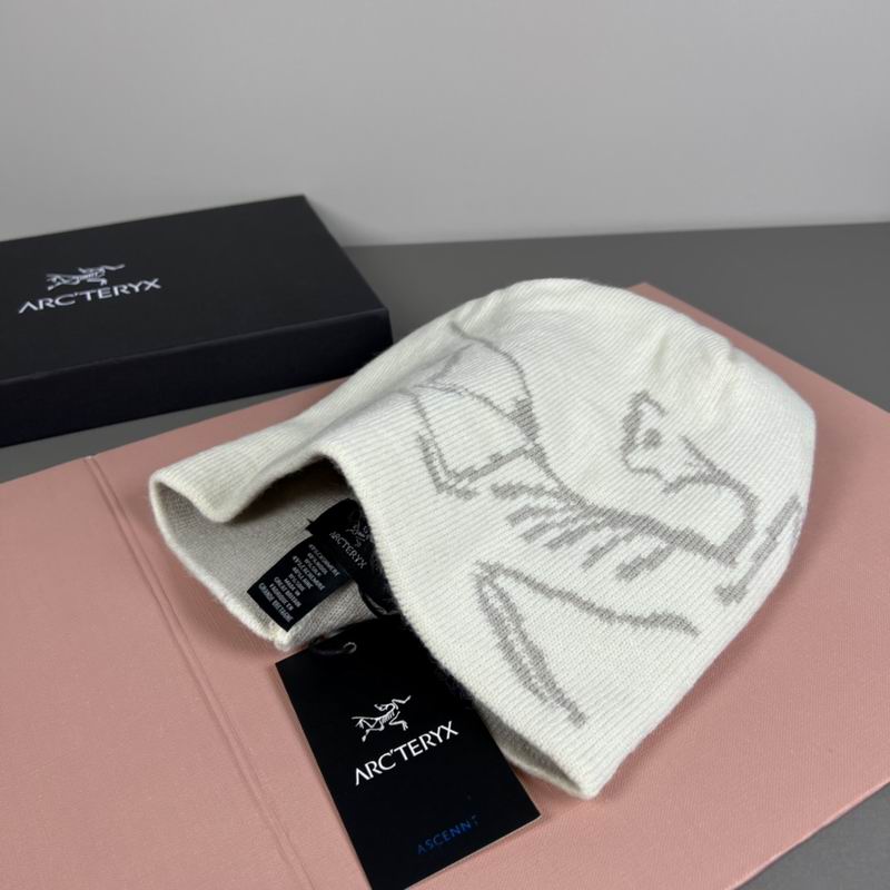 Arcteryx Hat dx (1163)