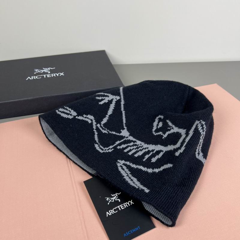 Arcteryx Hat dx (1165)