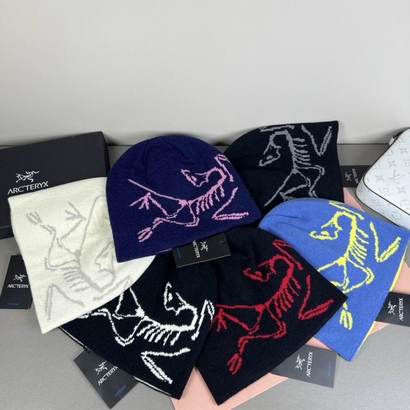 Arcteryx Hat dx (1166)