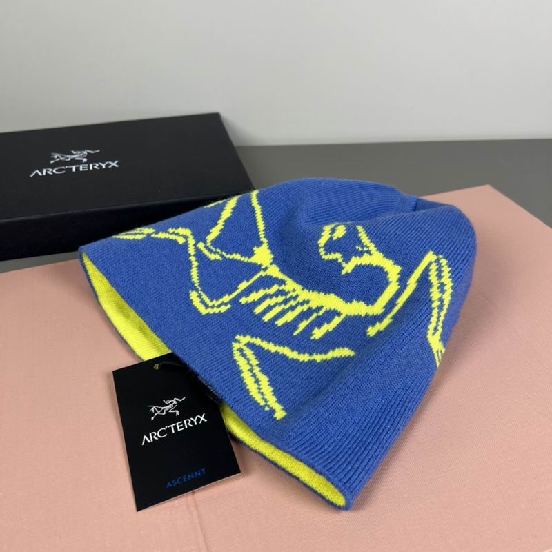 Arcteryx Hat dx (1168)