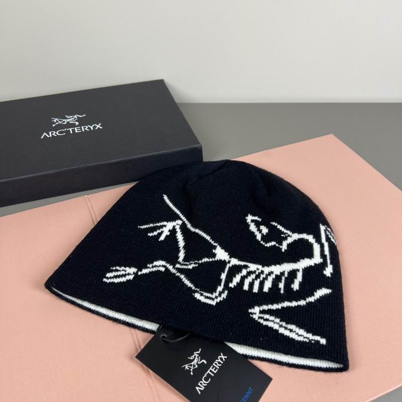 Arcteryx Hat dx (1170)