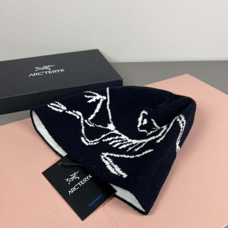 Arcteryx Hat dx (1171)