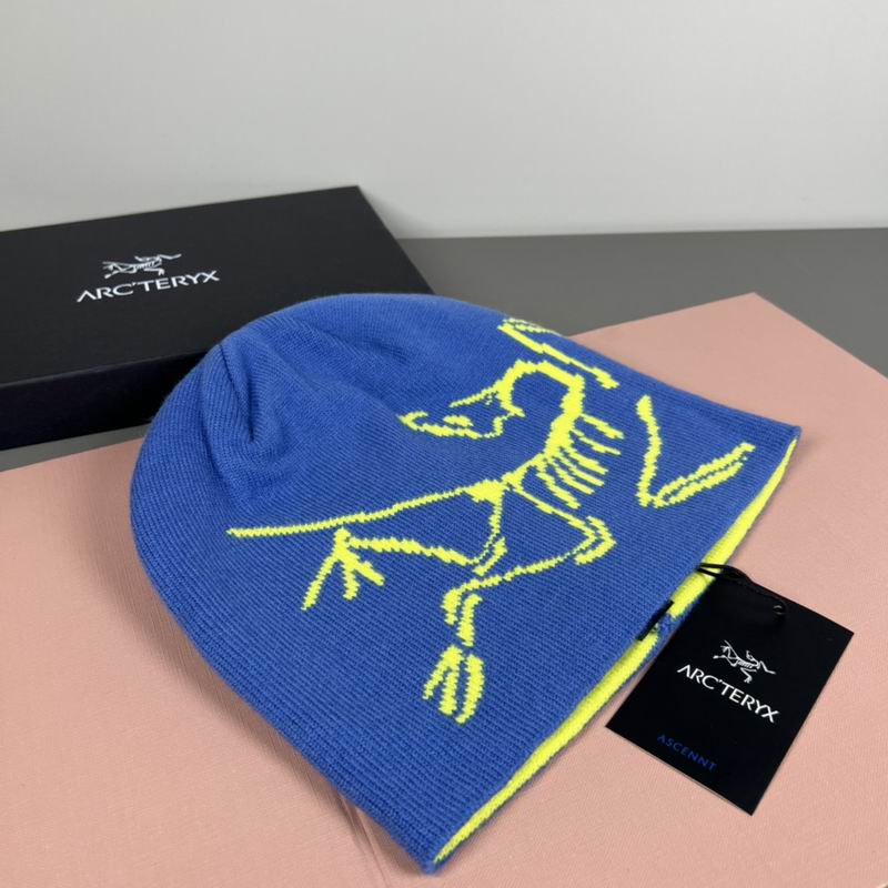 Arcteryx Hat dx (1172)