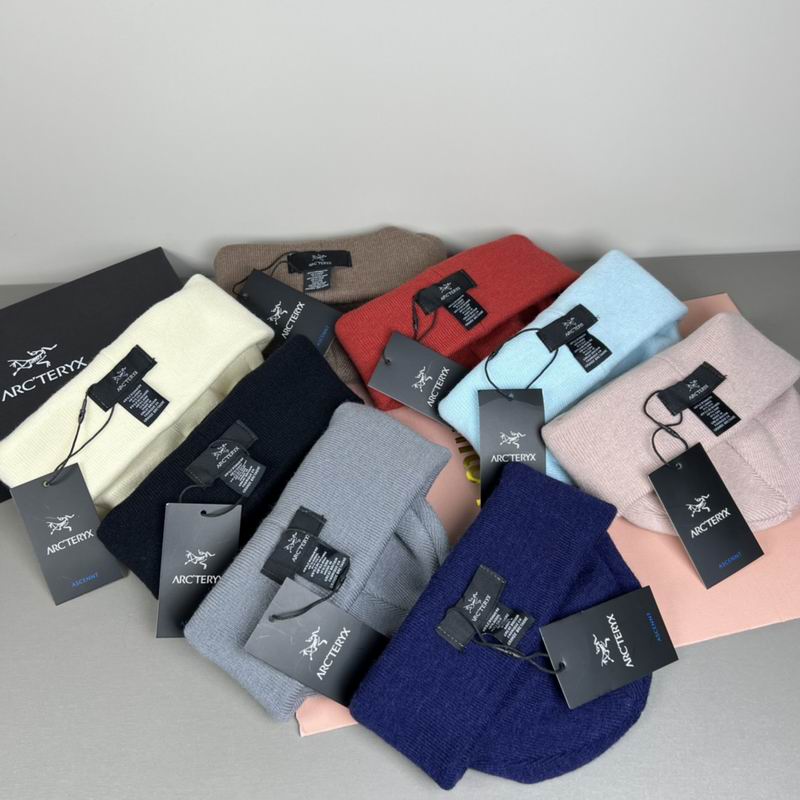 Arcteryx Hat dx (1251)