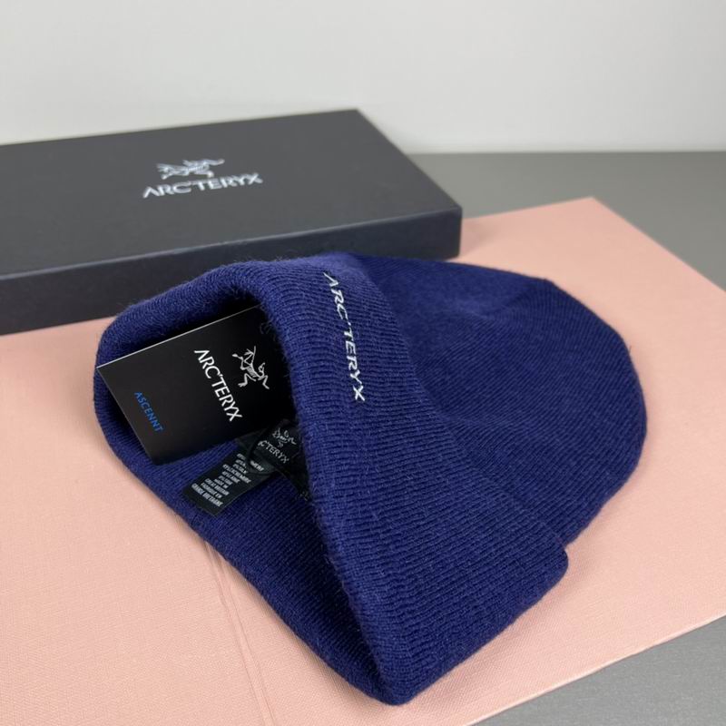 Arcteryx Hat dx (1266)